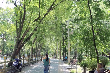 Одесский парк Горького в жаркий летний день (фоторепортаж)