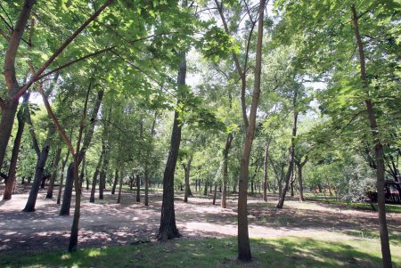 Одесский парк Горького в жаркий летний день (фоторепортаж)