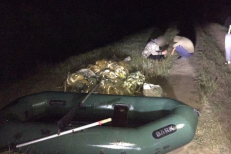 Браконьеры наловили на озере Сасык более 100 кг рыбы (фото)
