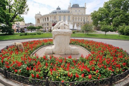 Одесса цветет и пахнет (фоторепортаж)