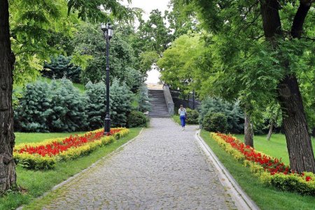 Одесса цветет и пахнет (фоторепортаж)