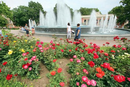 Одесса цветет и пахнет (фоторепортаж)