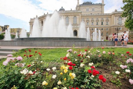 Одесса цветет и пахнет (фоторепортаж)