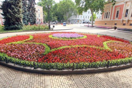 Одесса цветет и пахнет (фоторепортаж)