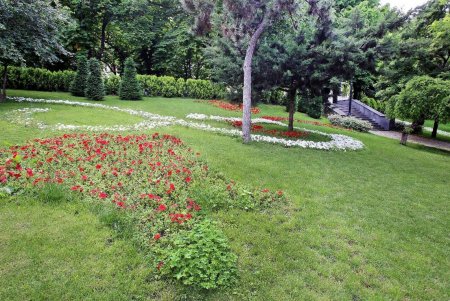 Одесса цветет и пахнет (фоторепортаж)
