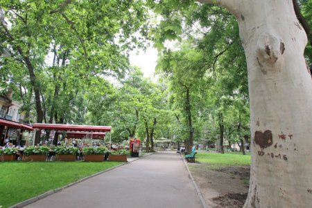Сквер Пале-Рояль стал полностью пешеходной зоной (фоторепортаж)