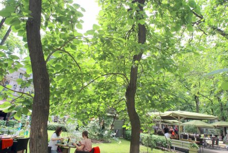 Сквер Пале-Рояль стал полностью пешеходной зоной (фоторепортаж)