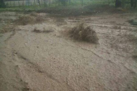 Ливень затопил дома и улицы в Ренийском районе (фото, видео)