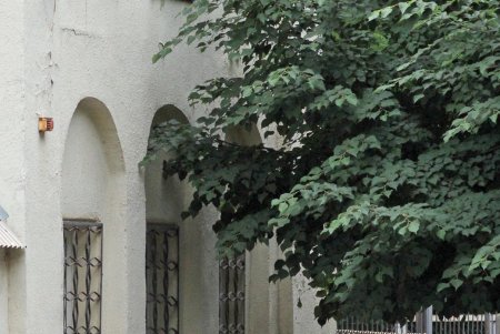 Улица Отрадная — маленькая жемчужина в сердце Одессы (фоторепортаж)