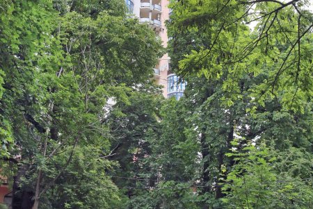 Улица Отрадная — маленькая жемчужина в сердце Одессы (фоторепортаж)