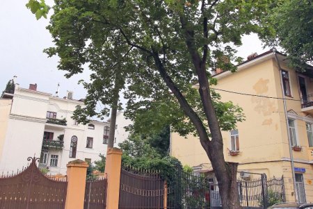 Улица Отрадная — маленькая жемчужина в сердце Одессы (фоторепортаж)