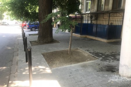В Приморском районе капитально ремонтируют тротуары (фото)