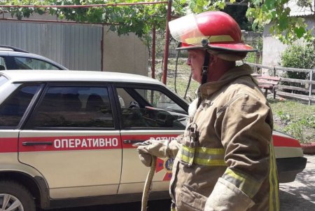 В подъезд жилого дома заползла змея — спасатели вывезли ее на природу (фото)