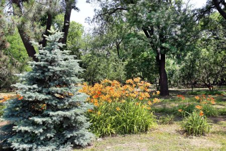 В Одессе почтили память погибших во Второй мировой войне (фоторепортаж)