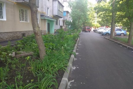 На Курсаках капитально отремонтировали внутриквартальный проезд (фото)