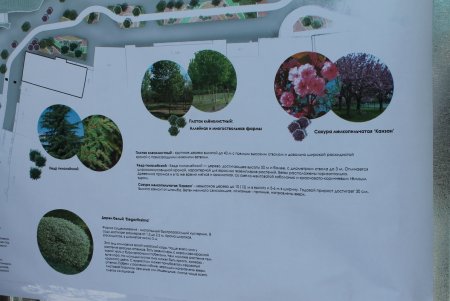 Реконструкция бульвара Жванецкого: от Худмузея до улицы Торговой (фоторепортаж)