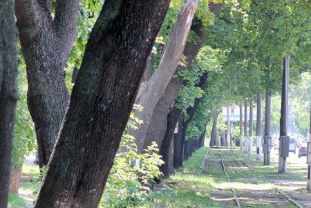 Прогулка по скверу возле ОГА (фоторепортаж)