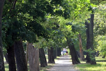 Прогулка по скверу возле ОГА (фоторепортаж)