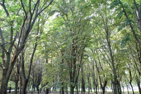 Прогулка по скверу возле ОГА (фоторепортаж)
