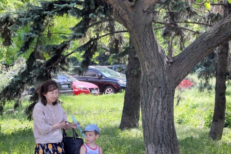 Прогулка по скверу возле ОГА (фоторепортаж)