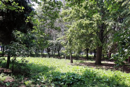 Прогулка по скверу возле ОГА (фоторепортаж)