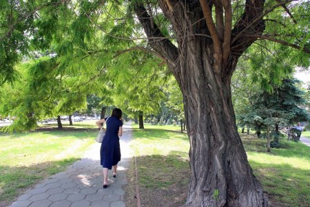 Прогулка по скверу возле ОГА (фоторепортаж)