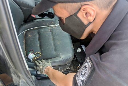 В портах Одессы и Черноморска при проверке иностранных авто обнаружили каннабис и пневматическую винтовку (фото, видео) 