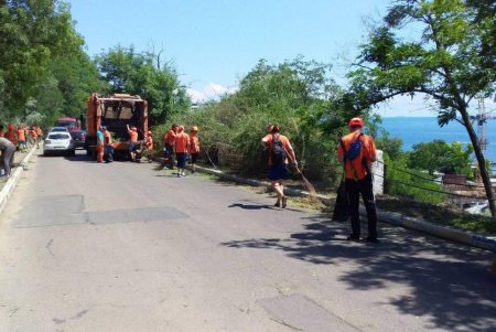 В парке «Юбилейный» коммунальщики навели чистоту: посетителей просят поддерживать порядок (фото)