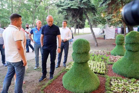 Выставка гигантских китайских фонарей в Савицком парке (фоторепортаж)