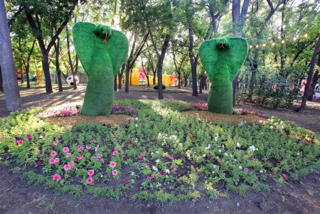 Выставка гигантских китайских фонарей в Савицком парке (фоторепортаж)