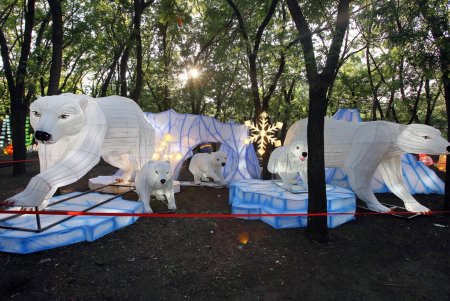Выставка гигантских китайских фонарей в Савицком парке (фоторепортаж)