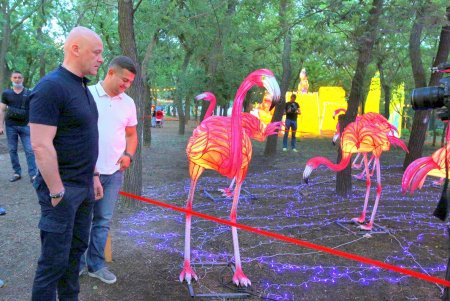 Выставка гигантских китайских фонарей в Савицком парке (фоторепортаж)
