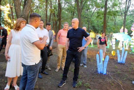Выставка гигантских китайских фонарей в Савицком парке (фоторепортаж)