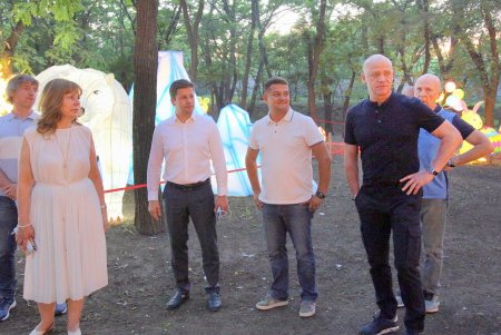 Выставка гигантских китайских фонарей в Савицком парке (фоторепортаж)