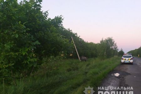 Смертельное ДТП в Кодымском районе: пьяный водитель слетел в кювет и врезался в столб (фото) 