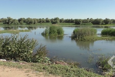 В Беляевском районе укрепляют дамбу — уровень воды в Днестре повышается, но пока ситуация не критична (фото) 
