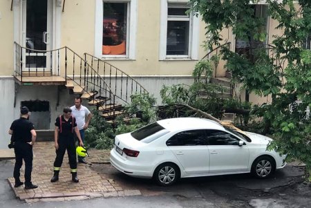 Упавшие деревья повредили автомобили в центре и на Молдаванке (фото, видео)