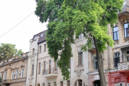 Исторические здания Одессы «оделись» в строительные леса (фоторепортаж) 