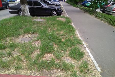 С городских улиц убрали более 70 незаконных рекламных вывесок (фото)