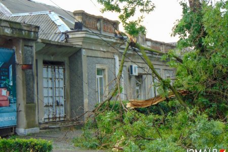 Удар стихии в Измаиле: по городу повалены деревья, повреждены сети энергоснабжения (фото)