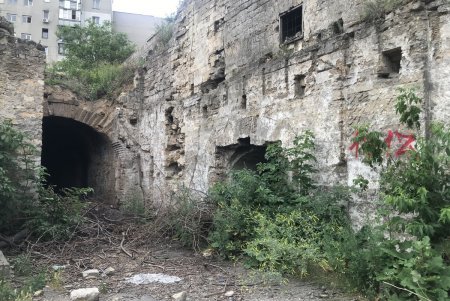 Погреба на Бугаевке восстановят и создадут музей украинского вина (фото)