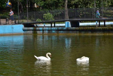 У пруда в парке Победы установили новый грот, чтобы спрятать и украсить технологический узел (фото)