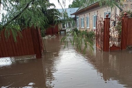 Рухнувшие деревья и подтопленные дома – спасатели устраняют последствия непогоды в регионе (фото)