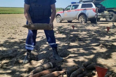 За сутки пиротехники собрали богатый «урожай» боеприпасов времен Второй мировой войны в пяти районах области (фото)