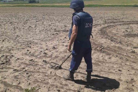 За сутки пиротехники собрали богатый «урожай» боеприпасов времен Второй мировой войны в пяти районах области (фото)