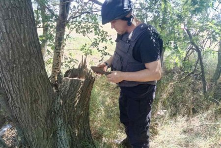 За сутки пиротехники собрали богатый «урожай» боеприпасов времен Второй мировой войны в пяти районах области (фото)