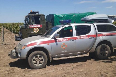 За сутки пиротехники собрали богатый «урожай» боеприпасов времен Второй мировой войны в пяти районах области (фото)