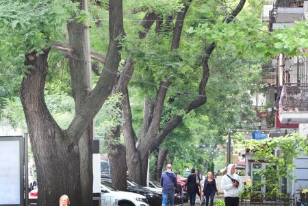 Взгляд через объектив: улица Троицкая (фоторепортаж) 