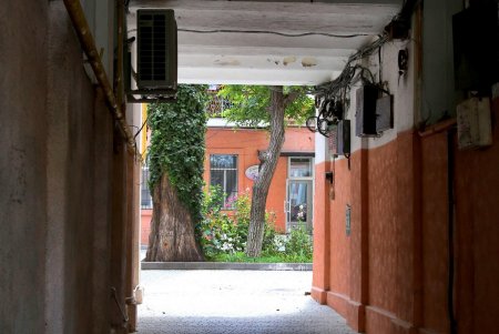 Взгляд через объектив: улица Троицкая (фоторепортаж) 