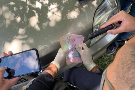 Лесничий госпредприятия попался на взятке в 90 тысяч гривен (фото)